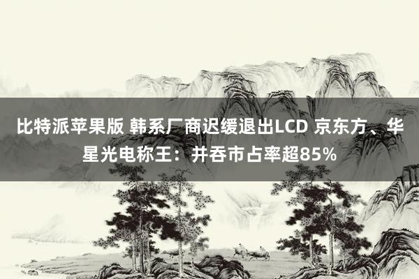 比特派苹果版 韩系厂商迟缓退出LCD 京东方、华星光电称王：并吞市占率超85%