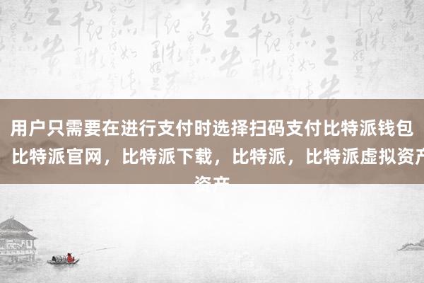 用户只需要在进行支付时选择扫码支付比特派钱包，比特派官网，比特派下载，比特派，比特派虚拟资产