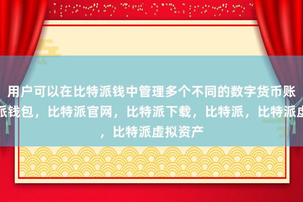 用户可以在比特派钱中管理多个不同的数字货币账户比特派钱包，比特派官网，比特派下载，比特派，比特派虚拟资产