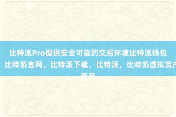 比特派Pro提供安全可靠的交易环境比特派钱包，比特派官网，比特派下载，比特派，比特派虚拟资产