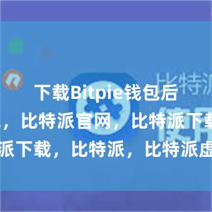 下载Bitpie钱包后比特派钱包，比特派官网，比特派下载，比特派，比特派虚拟资产