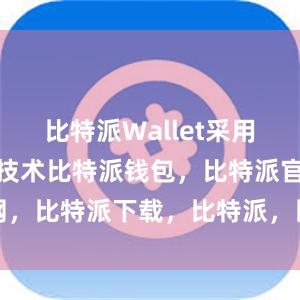 比特派Wallet采用了多重加密技术比特派钱包，比特派官网，比特派下载，比特派，比特派虚拟资产