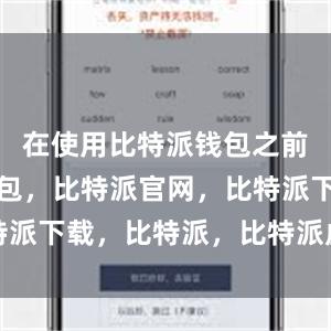 在使用比特派钱包之前比特派钱包，比特派官网，比特派下载，比特派，比特派虚拟资产